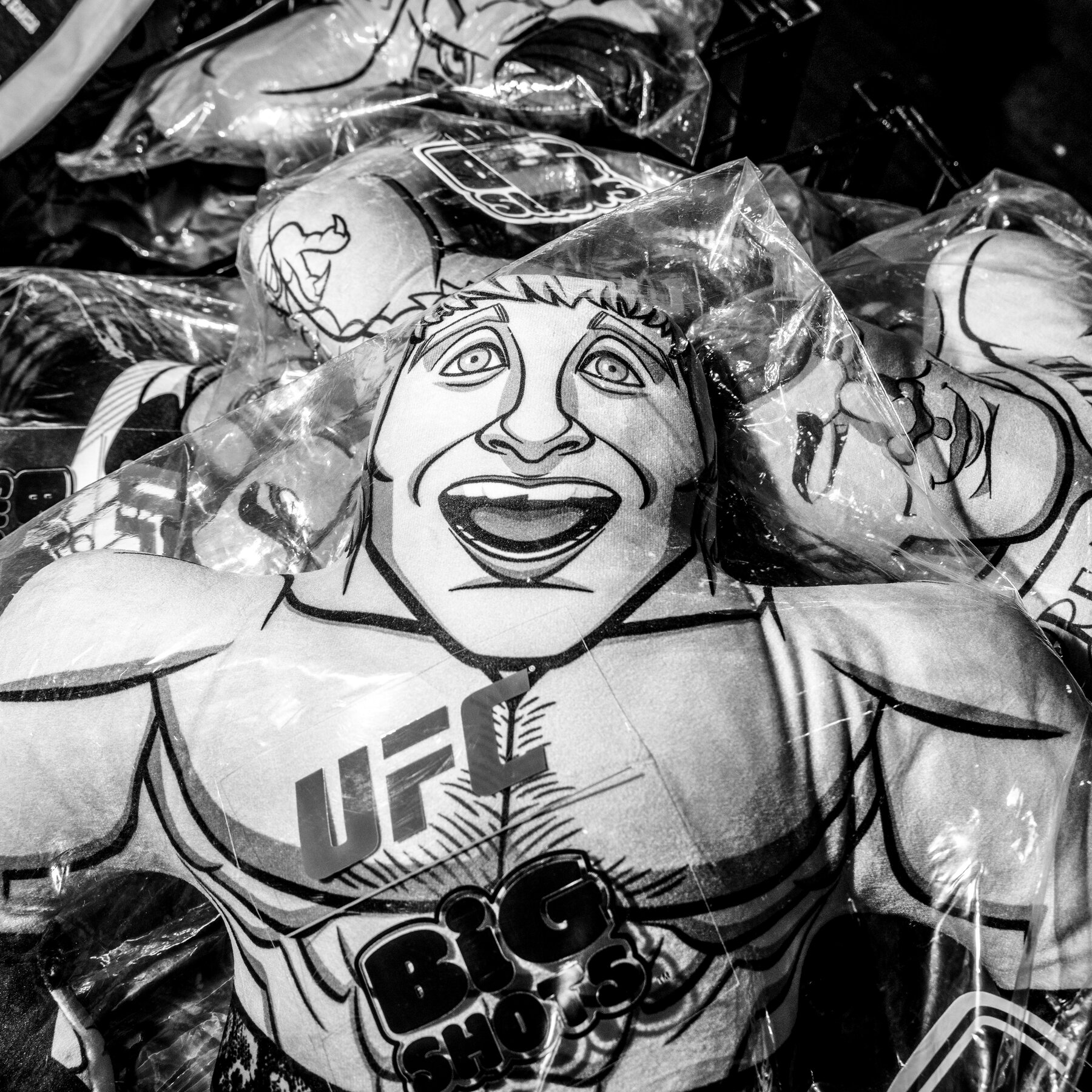 The Trump U.F.C. Fights Helped Me Understand My Sons