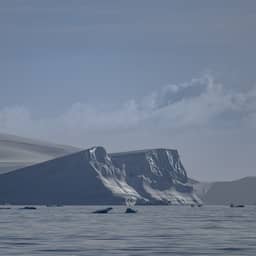 Recordtemperatuur tijdens winter op Antarctica: 20 graden warmer dan gemiddeld