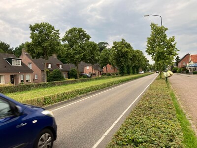 Aftrap herinrichting Wilhelminalaan: ‘Het kan heel positief uitpakken’