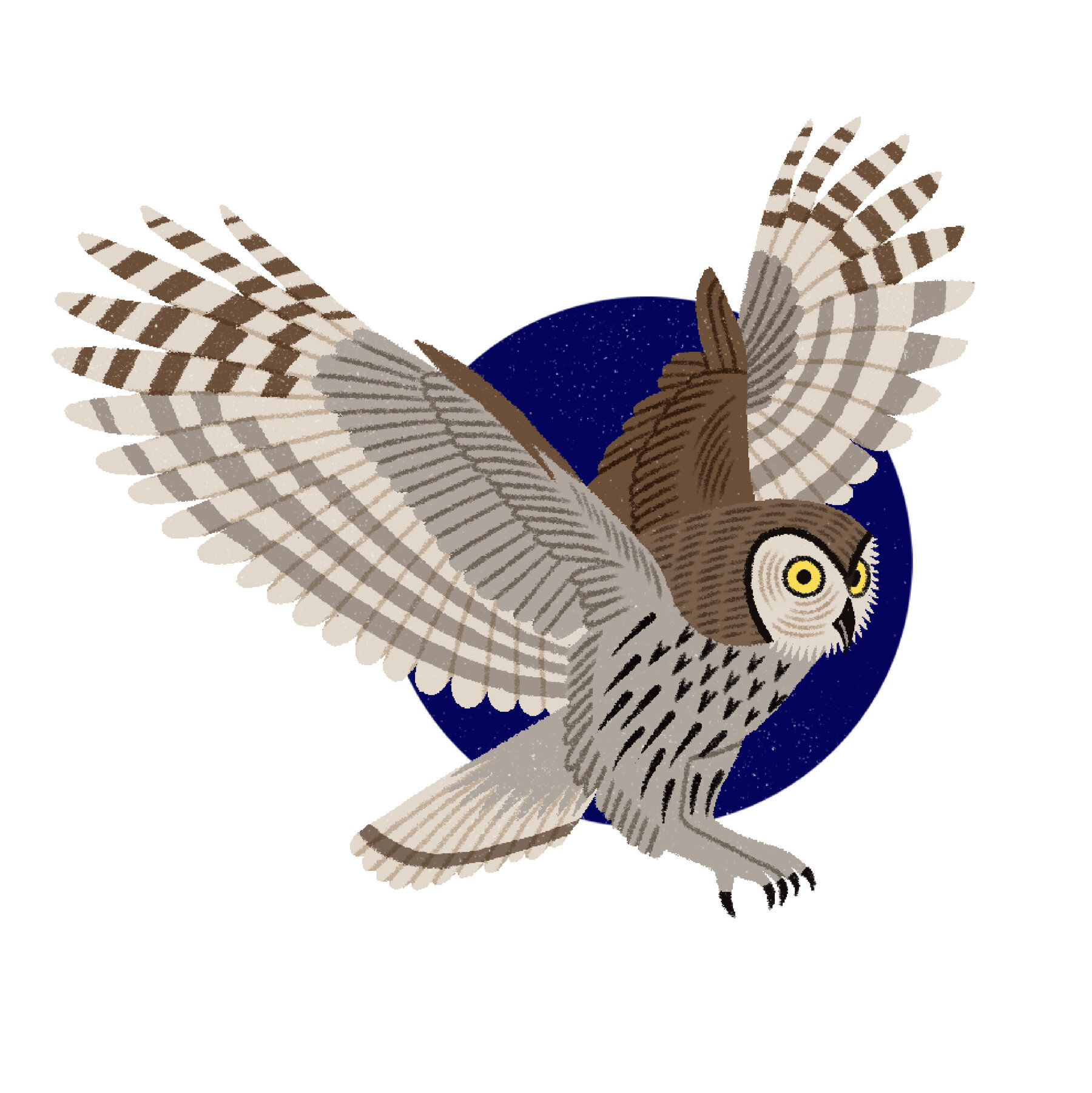 Are You a Morning Person or Night Owl? Take Our Sleep Quiz.