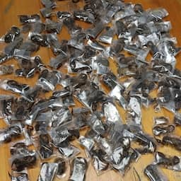 Man met 150 levende schorpioenen in bagage betrapt op luchthaven Kaapstad