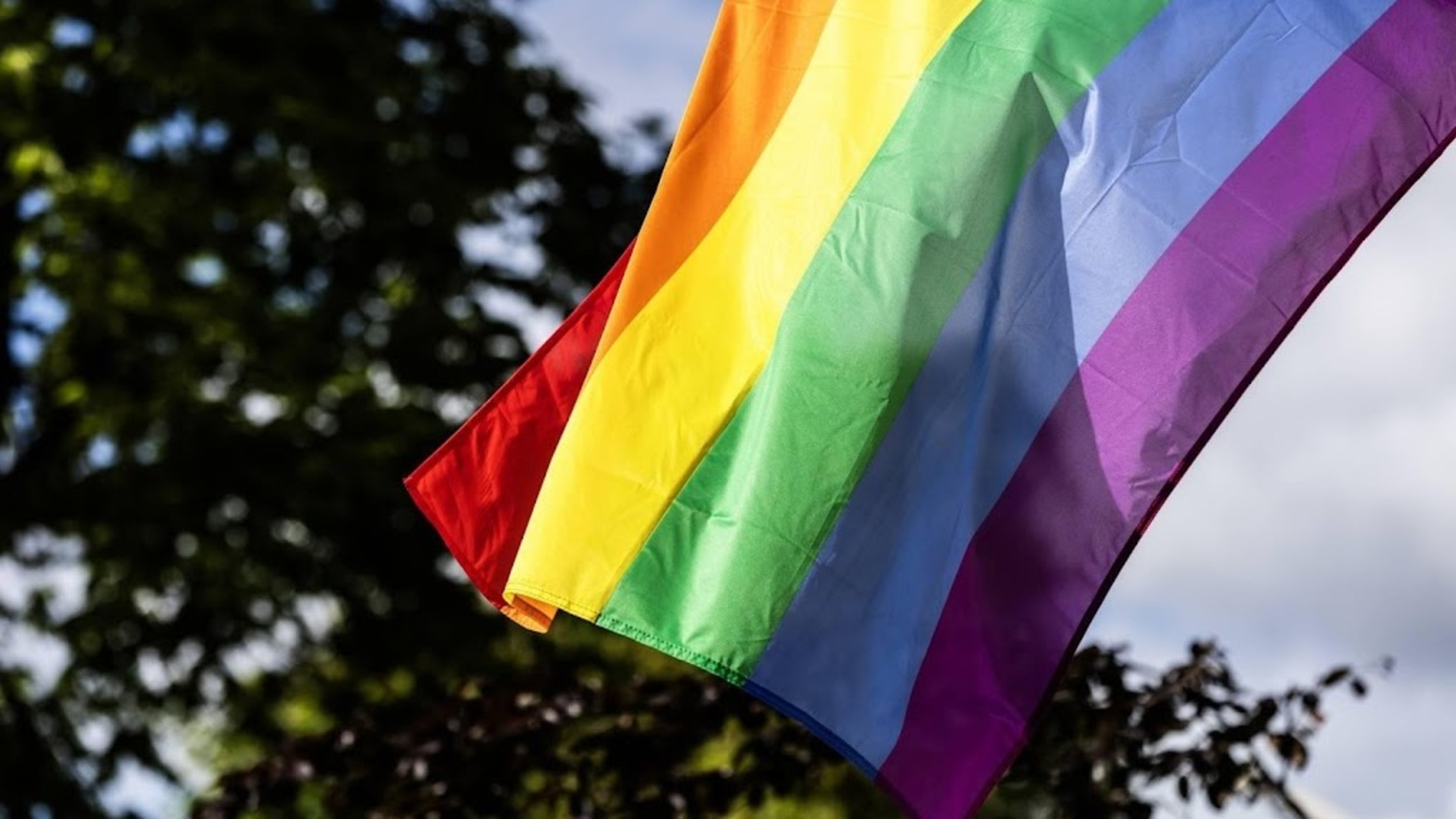 Eerste Kamer stemt voor verbod op ’homogenezing’