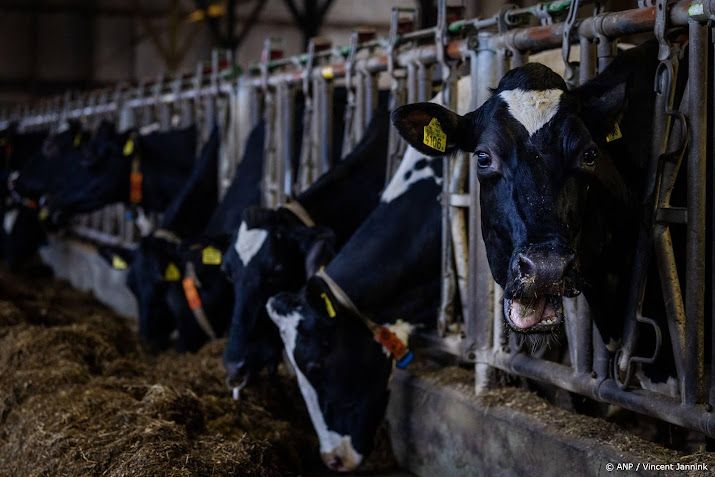 Boetes voor bedrijven die dieren mishandelen 40 procent hoger