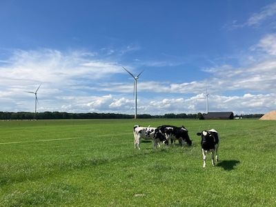 Ook als gemeente van goede wil is, schiet het niet op met zon- en windparken in de Kempen