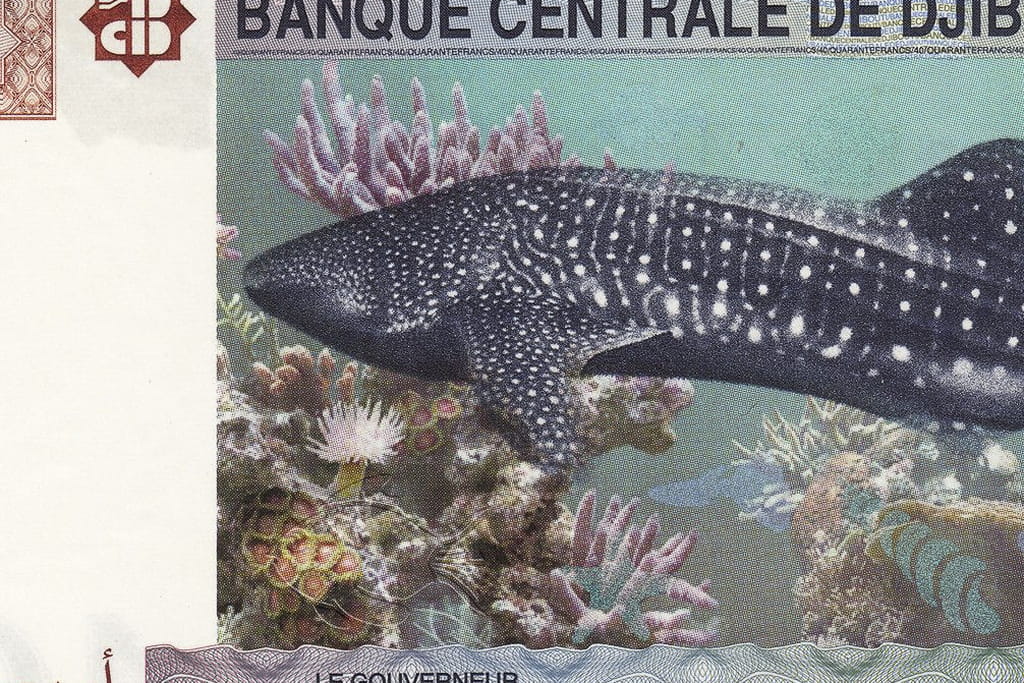 Deze econoom wil een prijs plakken op de natuur. Juist omdat ze onbetaalbaar is