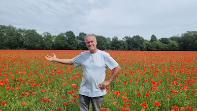 Klaprozenzee van boer Frank komt niet door fout: ‘Soms gaat de natuur dus gewoon haar eigen gang’