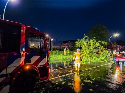 Auto botst tijdens noodweer tegen omgevallen boom in Hengelo