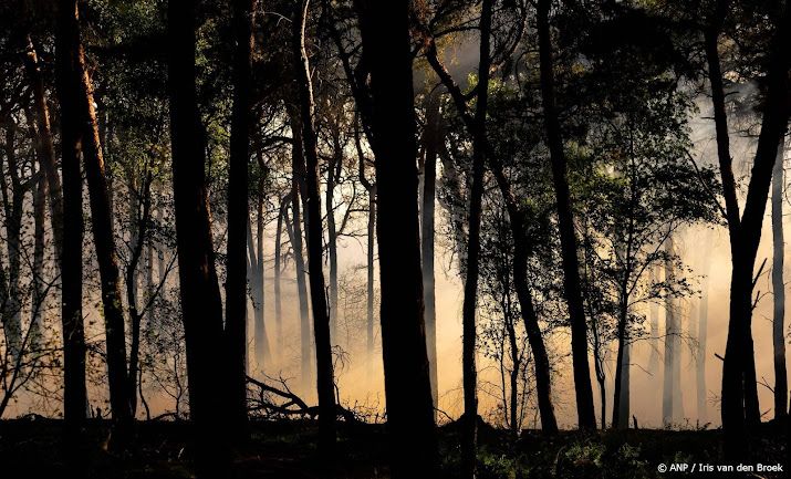 Uitzondering voor boskap in Natura 2000-gebieden verdwijnt