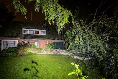 Hevige nachtelijke storm zorgt voor omgevallen bomen en ondergelopen straten in Nuenen