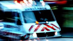 11 skydivers and pilot killed in plane crash