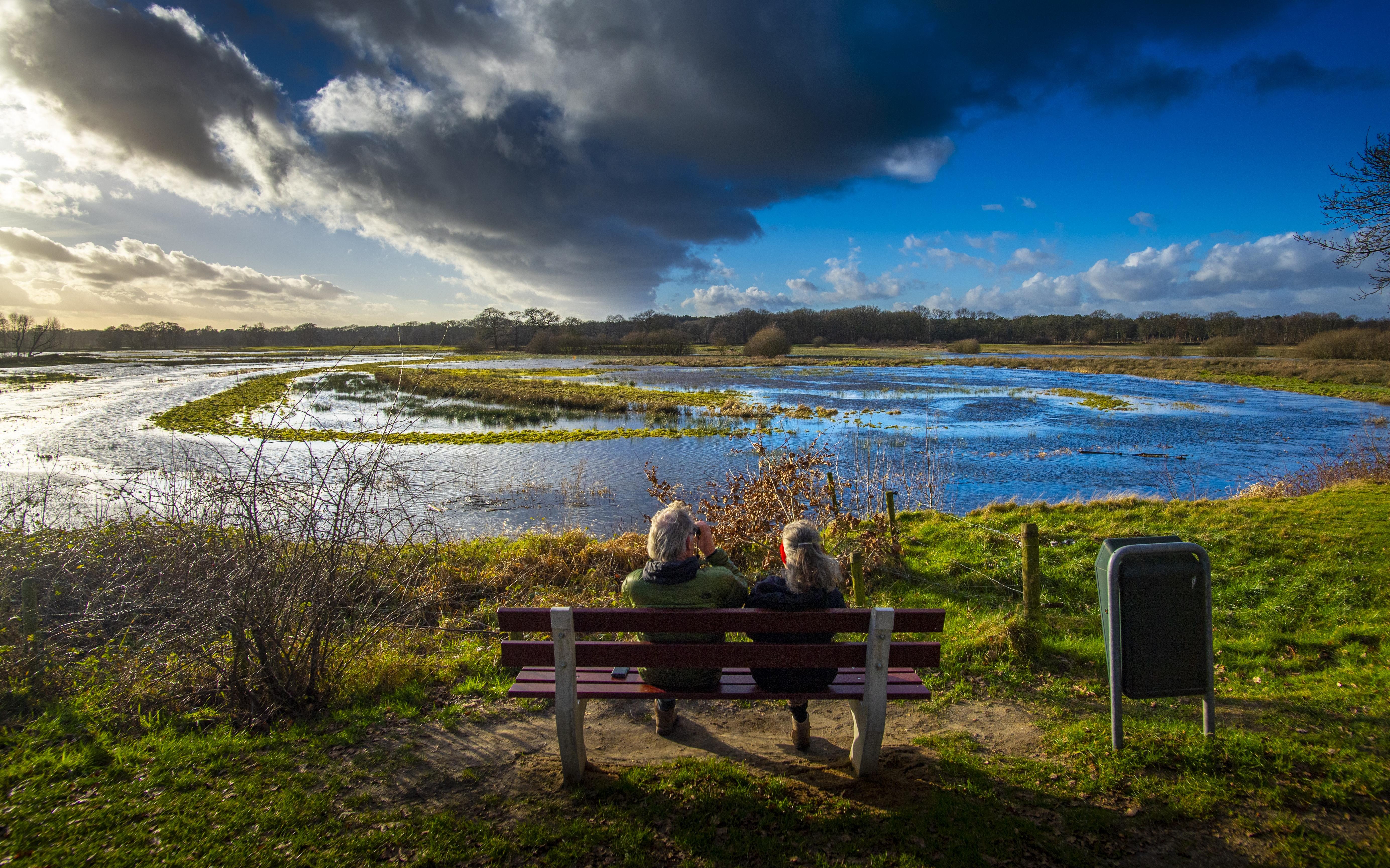 Wat is je favoriete natuurgebied? Deze RUG-onderzoeker wil dat heel graag weten. ‘Mensen verlangen naar een eenvoudig bestaan’