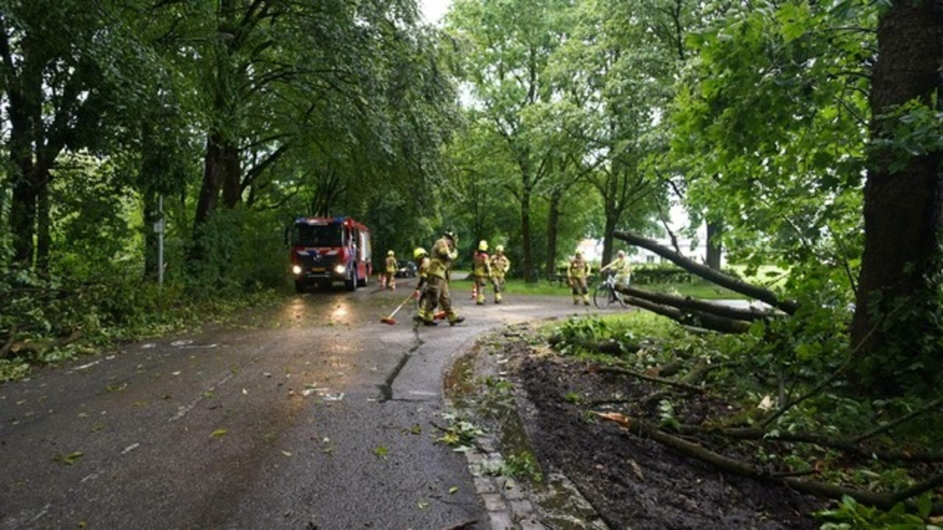 Stormschade in Epen: boom valt op weg en moet door brandweer worden verwijderd