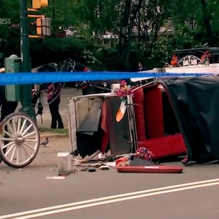 Paardenkoetsen ter discussie na dodelijk ongeluk met Indiase toerist in New York