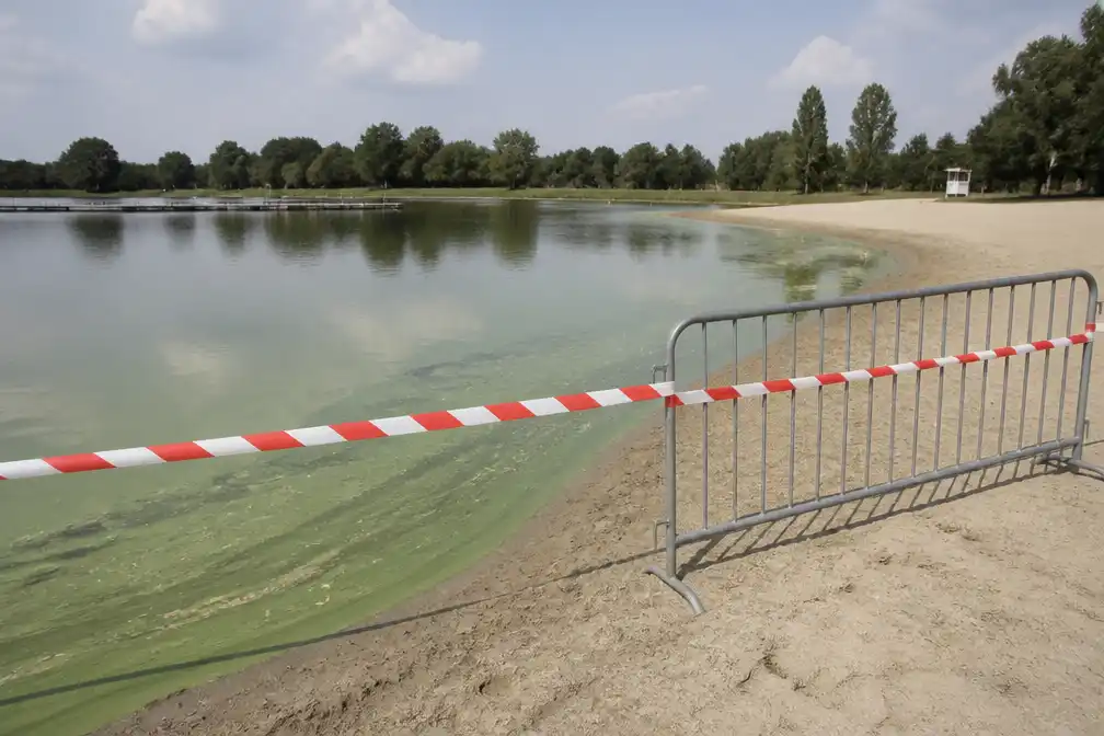 Sport Vlaanderen sluit strandzone Hofstade omwille van blauwalg