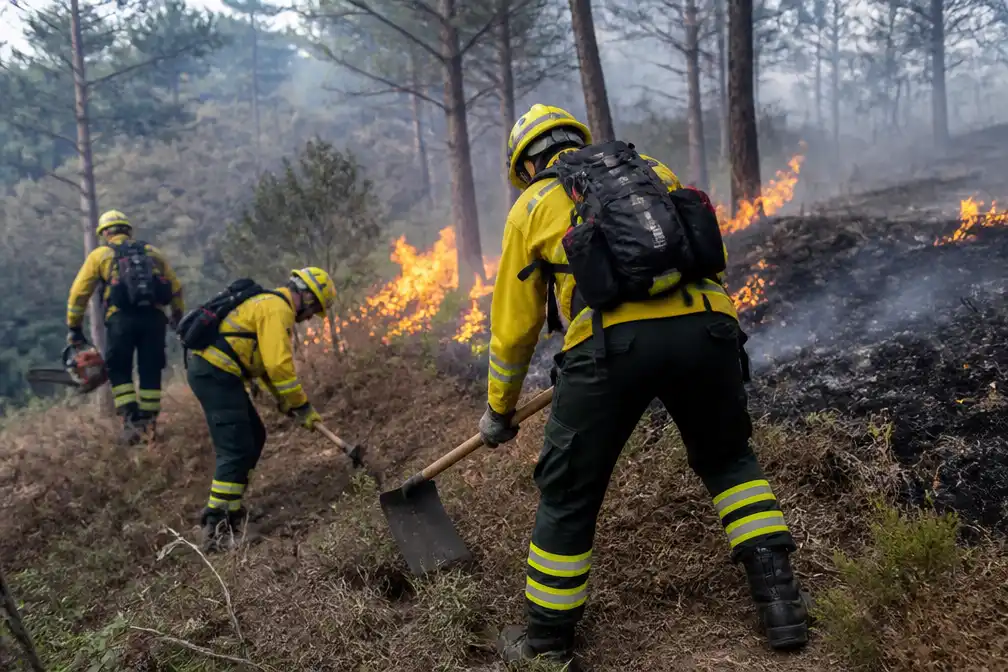 Brandweer zet Handcrew-teams in tegen natuurbranden in Limburg