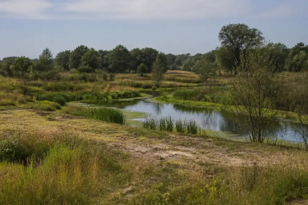 Waterschap Rijn en IJssel verbiedt oppompen grondwater bij tien natuurgebieden