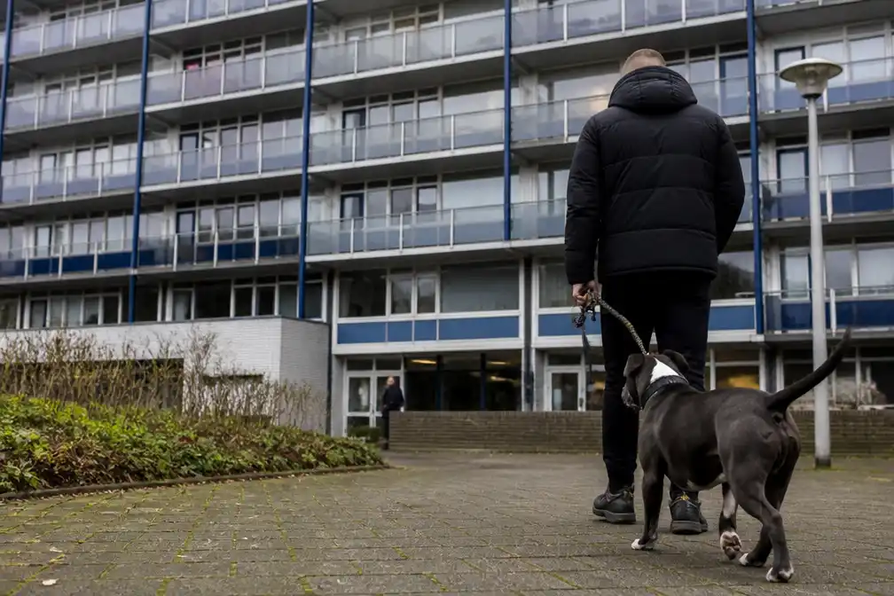 Bewoners Siriusflat Dordrecht durven woning nog altijd bijna niet uit om hond Max