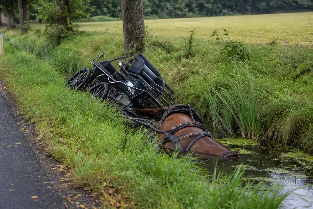 Man overleden bij ongeval met paard en koets in Daarle