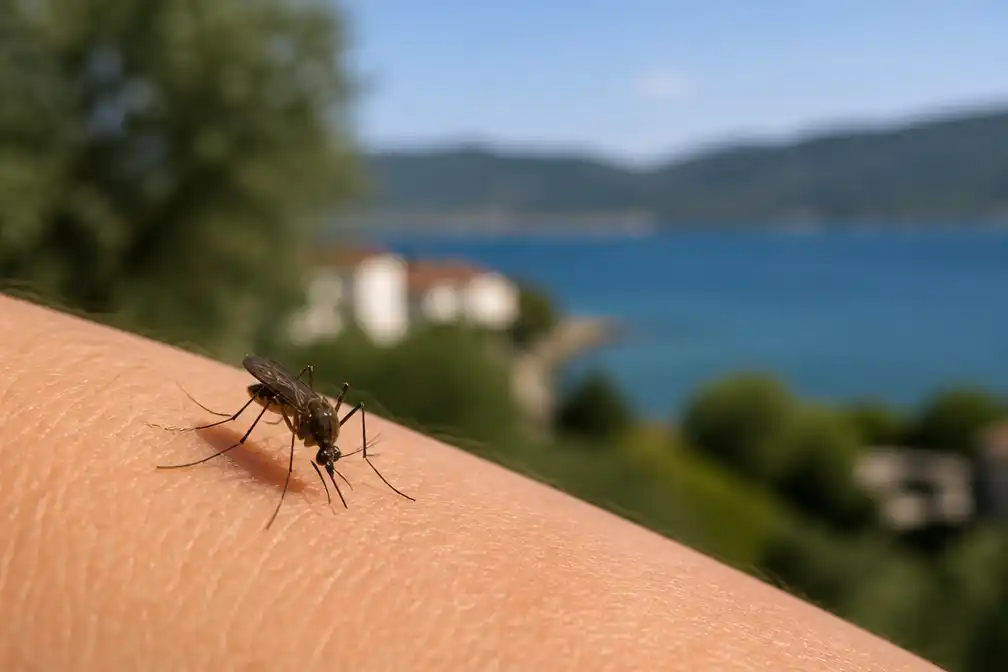 Westnijlvirus dit jaar al in twaalf Europese landen vastgesteld