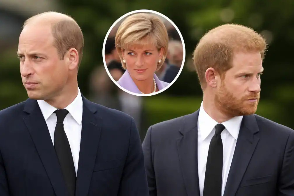 Prins William weigert Diana-film, Harry in gesprek over documentaire