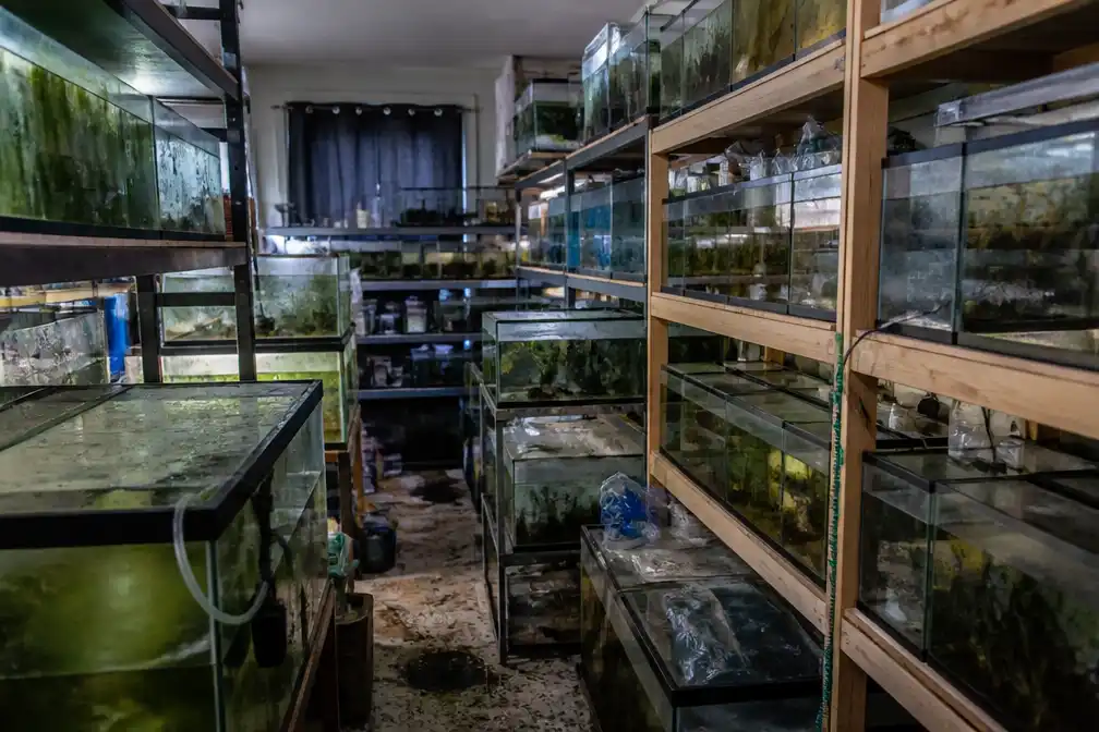 Taakstraf van 50 uur voor stel dat 44 aquaria en een kat achterliet in Heerlen
