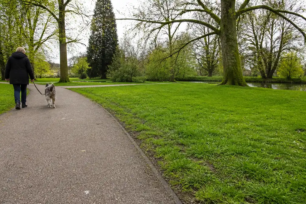 Vier honden overleden na wandeling in Schiedamse park De Plantage