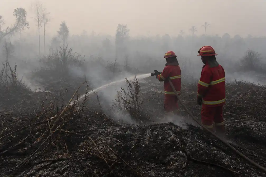 Indonesië bestrijdt zwaarste bosbranden in jaren, giftige rook teistert Borneo