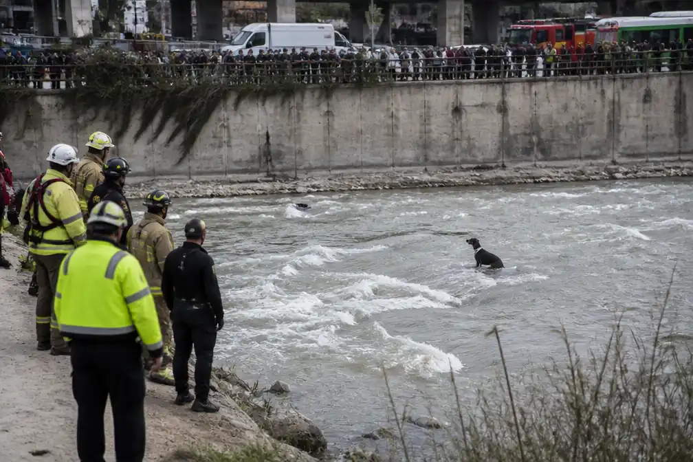 Zwerfhond Morocho klimt zelf uit rivier in Santiago na live uitgezonden redding