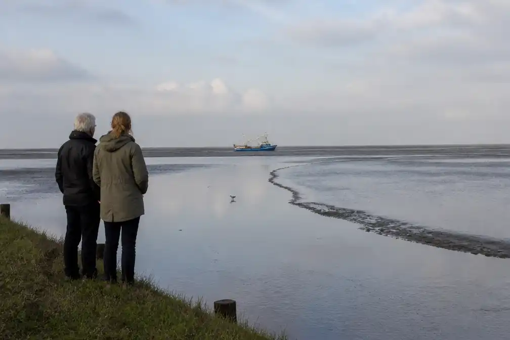Grotere delen van Waddengebied mogelijk langdurig op slot, zeggen ministers