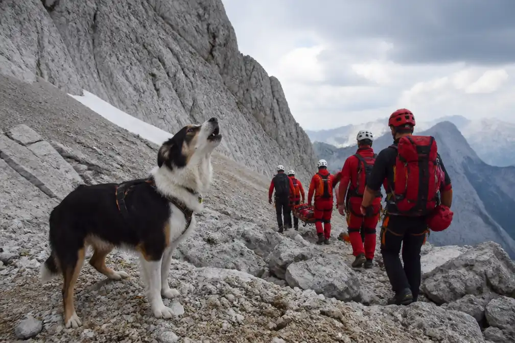 Hond leidt reddingswerkers naar 21-jarige na val in Oostenrijkse Dachsteingebergte
