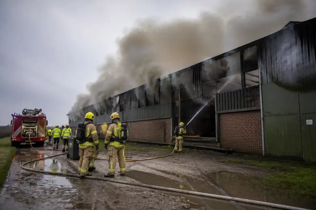 Brand in kippenstal Biervliet kost ongeveer 18.000 kippen het leven