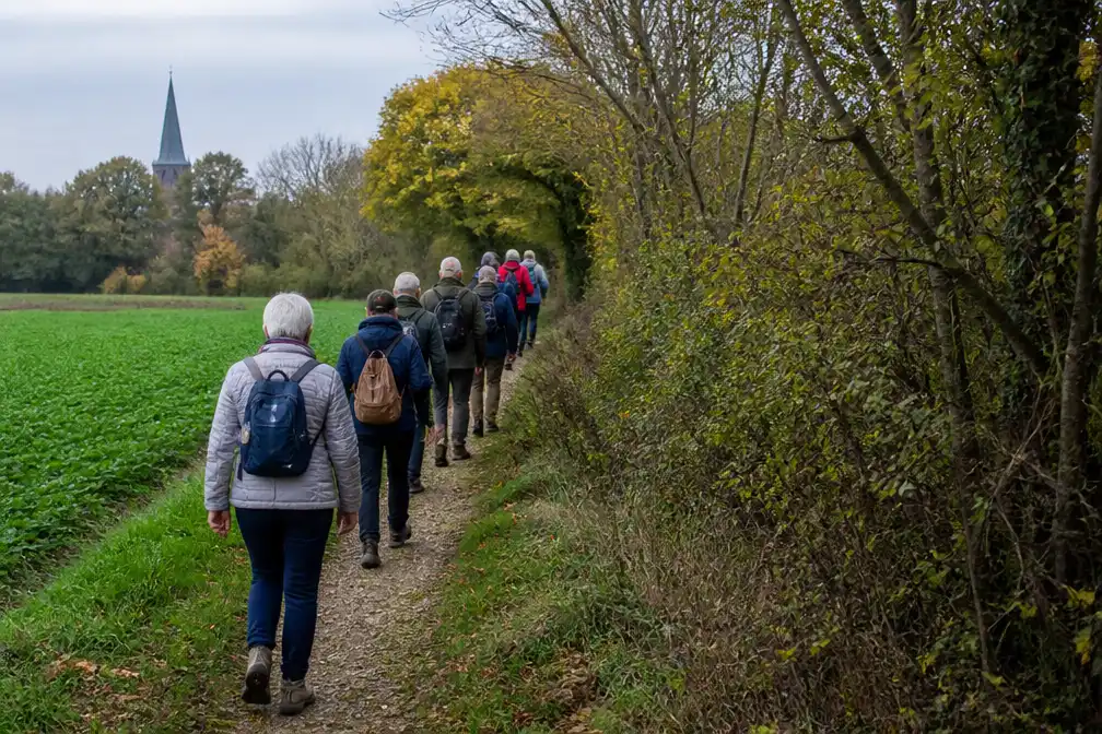 Steenokkerzeel zet trage wegen in Melsbroek in de kijker met wandeling van acht kilometer