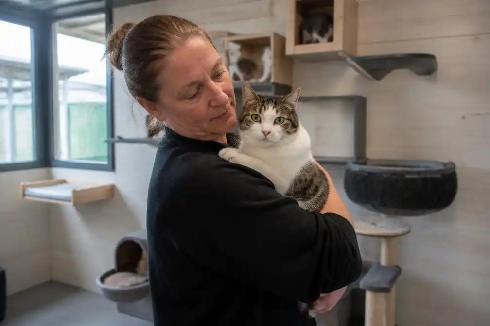 Aannemer die kattenhotel Dotje in Oudewater oplichtte, opgespoord in Colombia