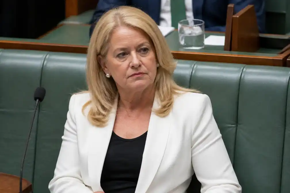 Australisch parlementslid Helen Haines verliest been na opzettelijke aanrijding