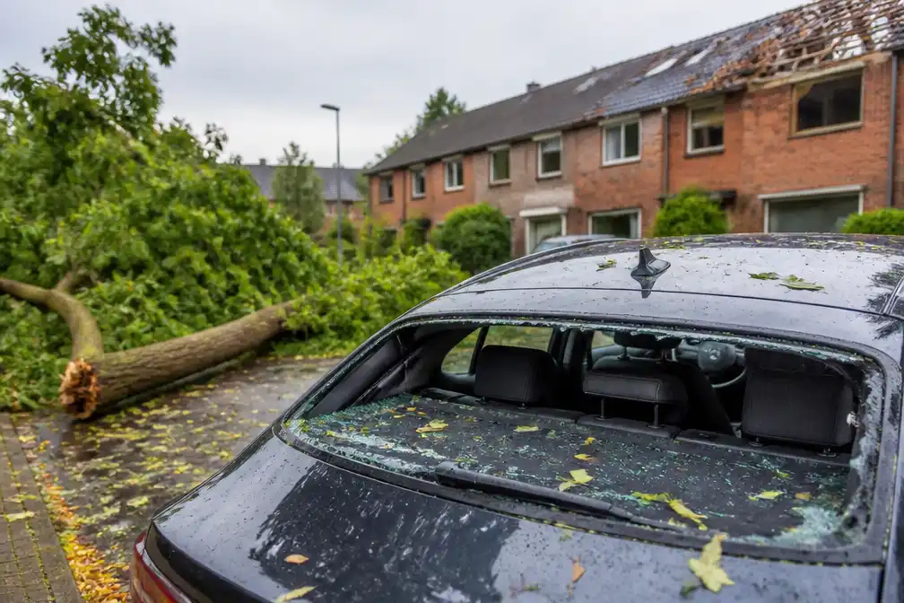 Zware onweersbuien veroorzaken wijdverbreide schade in Nederland