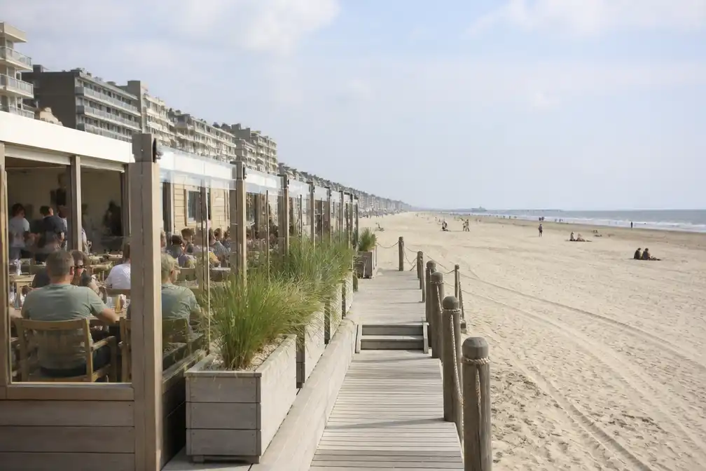 Veiling strandbars Blankenberge levert 736.000 euro per jaar op, Marc Coucke bemachtigt lot