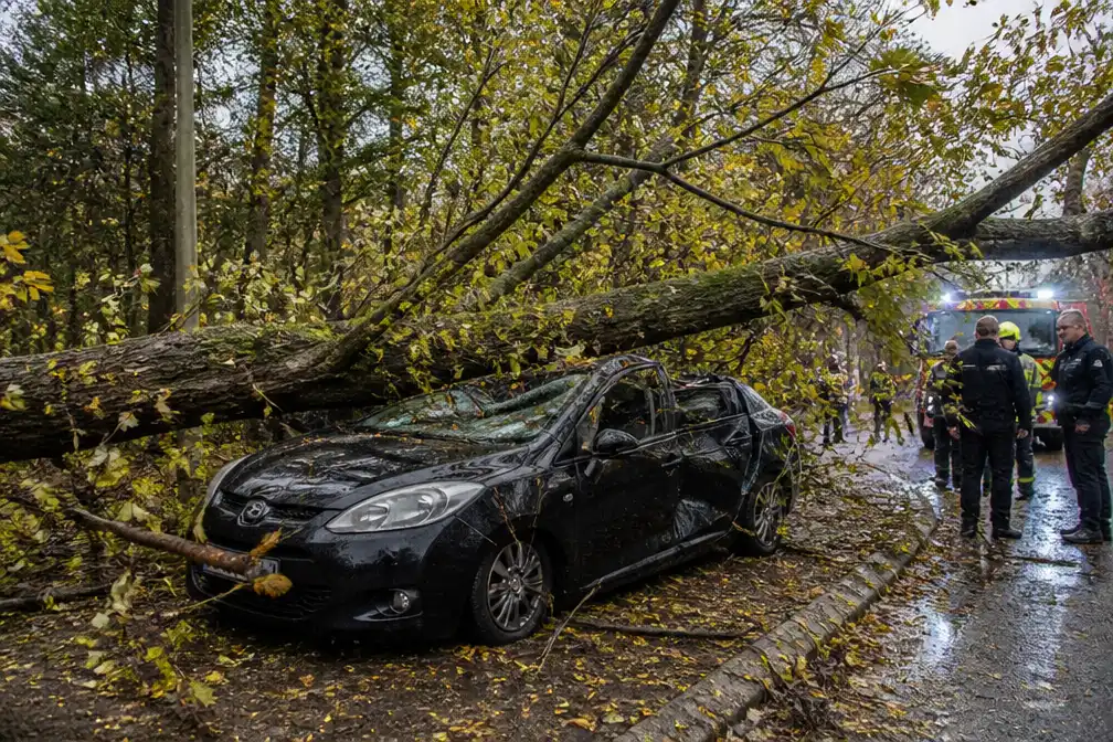 Storm Austen: boom valt op wagen van drie oud-verpleegsters uit Ninove, alle drie ongedeerd