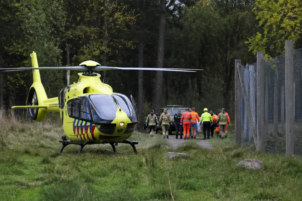 Perzische panter verwondt ervaren verzorgster zwaar in Safaripark Beekse Bergen