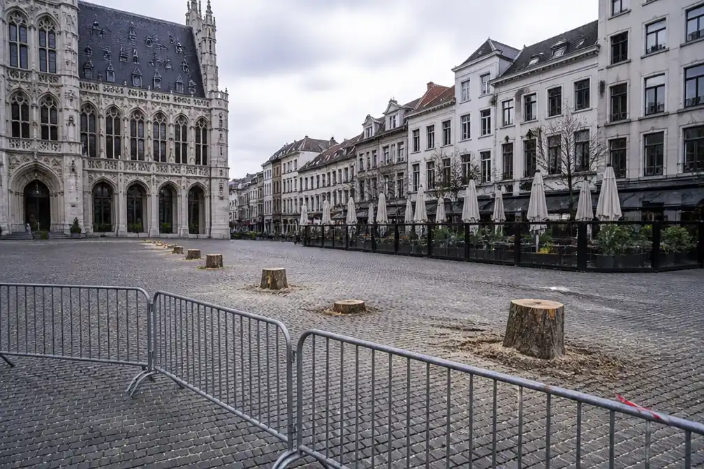 Brussel kapt vijf bomen op Grasmarkt na ongeval met gewonden tijdens storm Austen