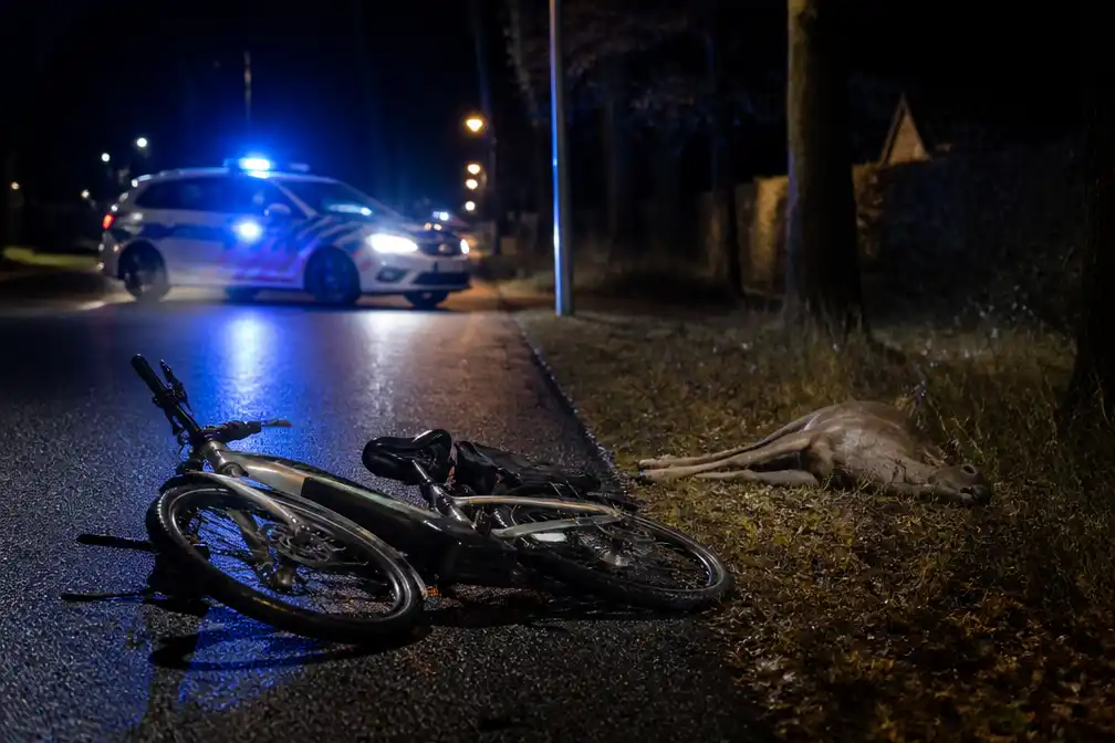 Man op speedpedelec lichtgewond na aanrijding door hert in Turnhout