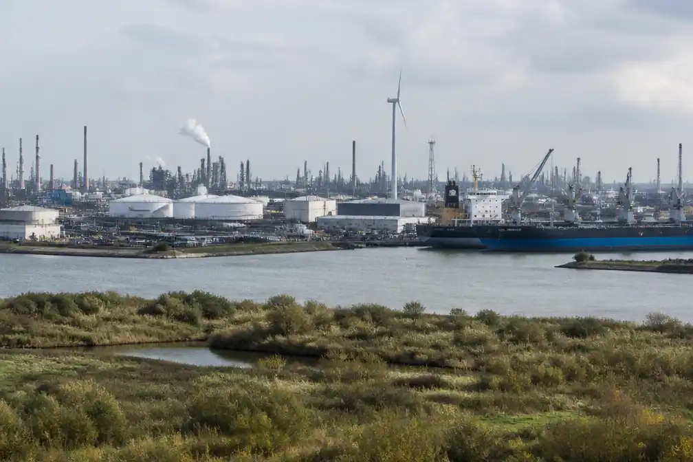 Rotterdamse haven wacht op 50 miljoen voor natuur om vergunningen te hervatten