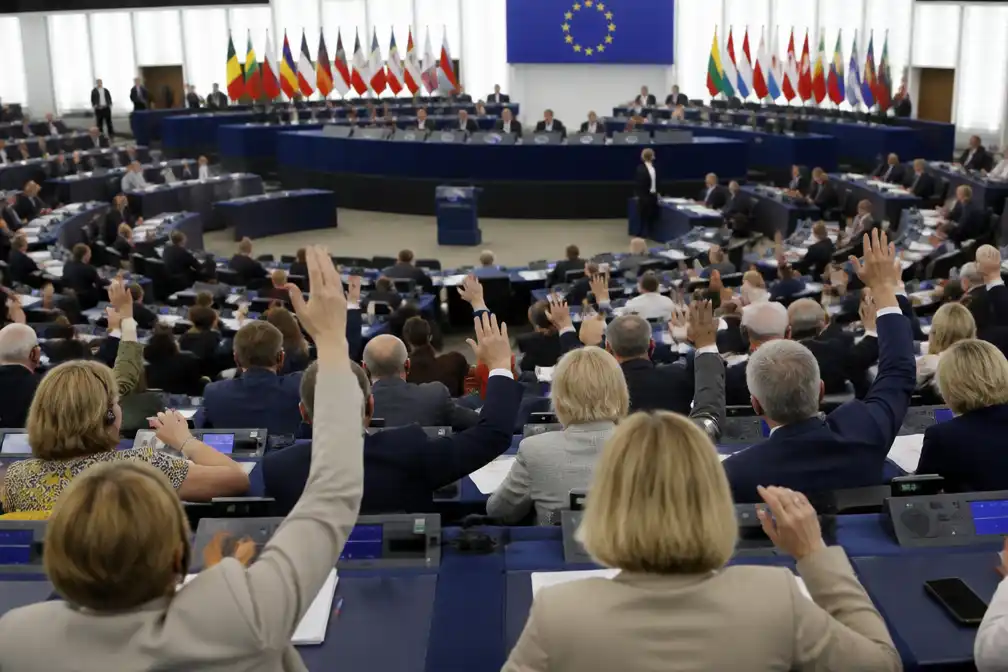 Europarlement stemt in met steun voor boeren vanwege dure mest