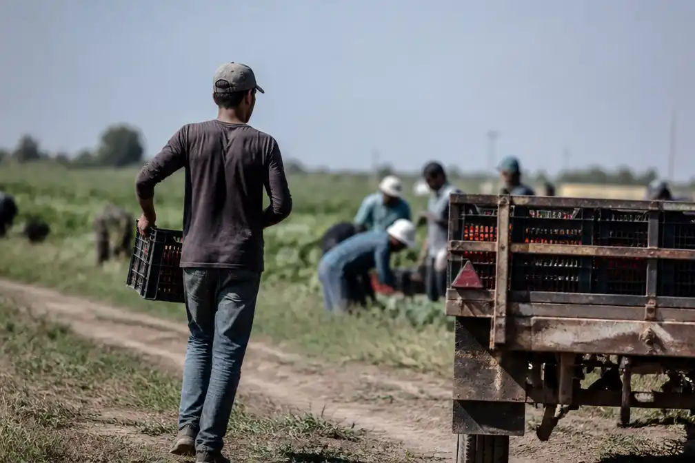 Italiaanse boer krijgt 16 jaar cel voor dumpen gewonde arbeidsmigrant