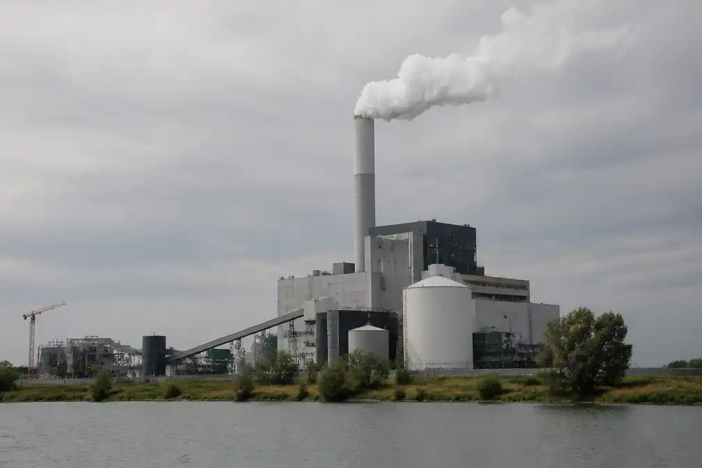 Milieuclubs beschuldigen provincie van valse stikstofcijfers voor biomassavergunning
