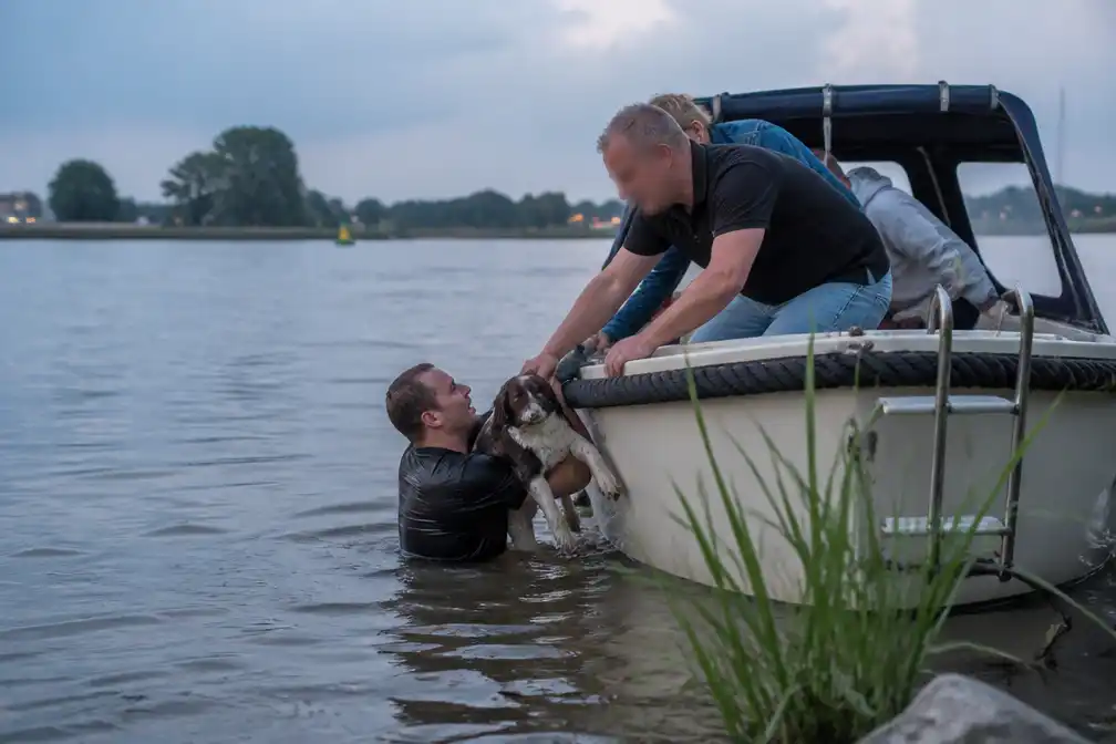 Omstanders redden hond die meegesleurd werd in IJssel bij Doesburg