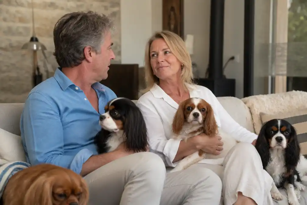 Commentaar: Arie uit 'B&B vol liefde' concurreert met honden, niet met een man